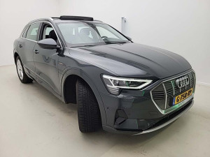 Audi E-Tron Launch 50 230kW
