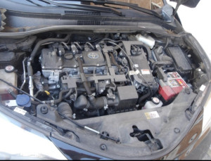 Toyota C-HR Business 1.8 90kW